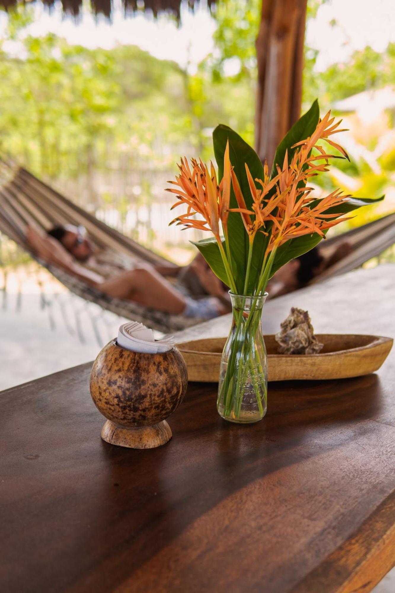 Paraiso Natural Ecohotel Сан-Бернардо-дель-Вьенто Экстерьер фото