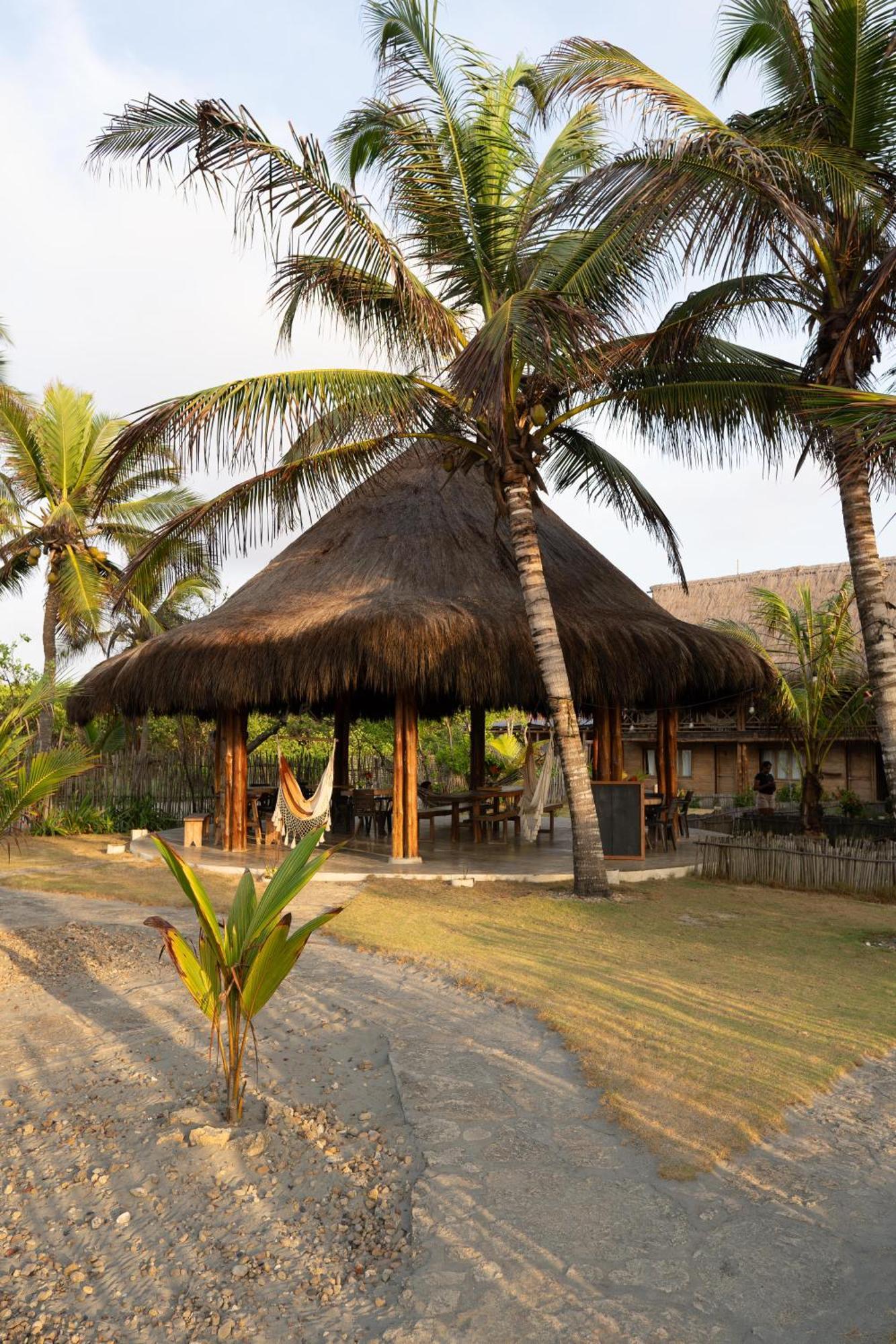 Paraiso Natural Ecohotel Сан-Бернардо-дель-Вьенто Экстерьер фото