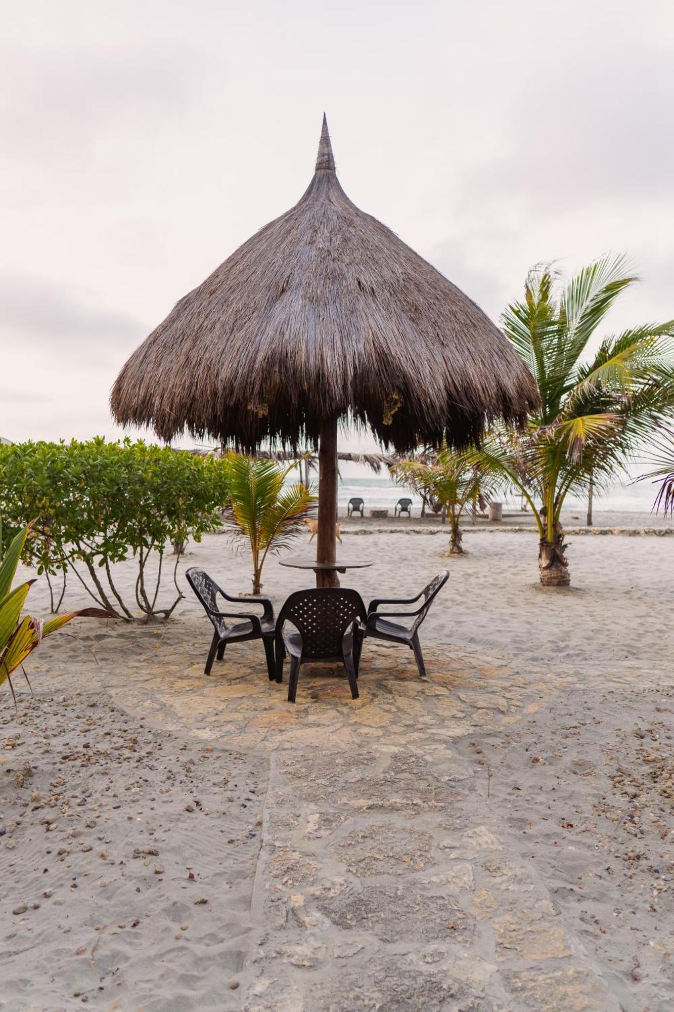 Paraiso Natural Ecohotel Сан-Бернардо-дель-Вьенто Экстерьер фото