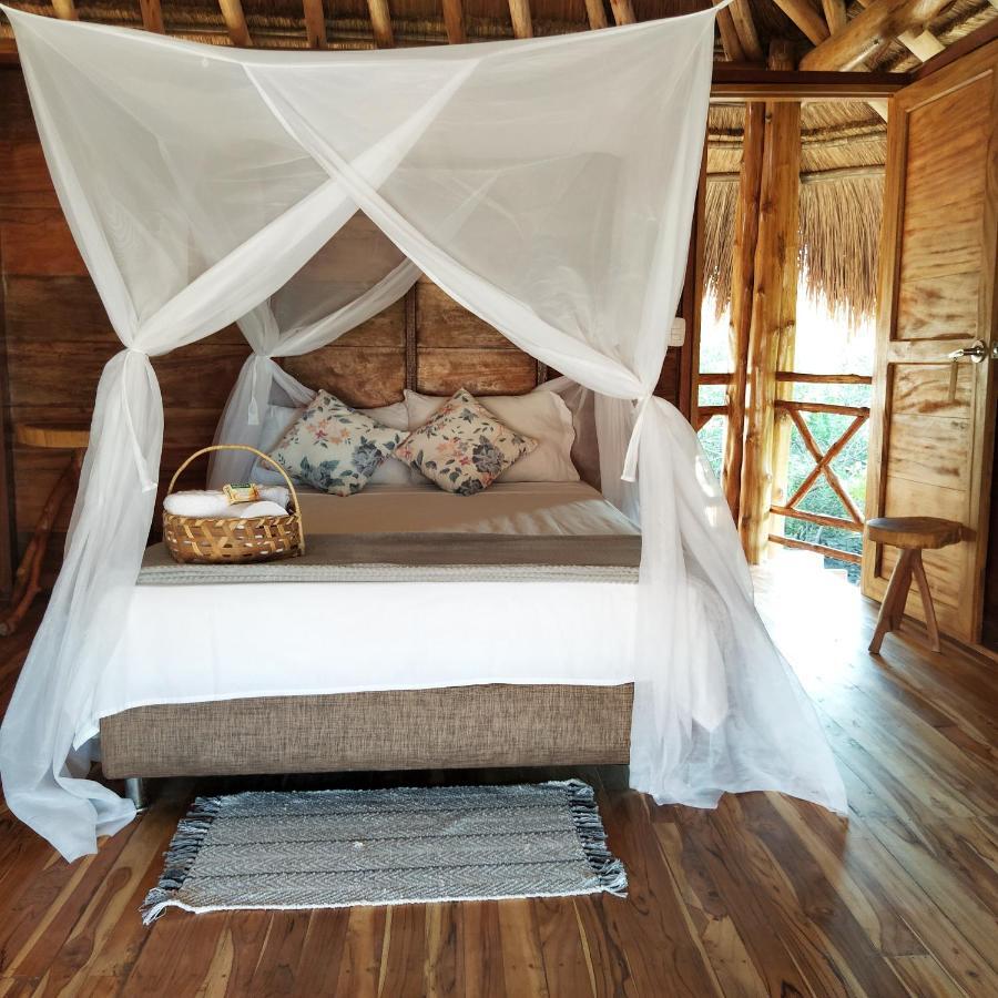 Paraiso Natural Ecohotel Сан-Бернардо-дель-Вьенто Экстерьер фото